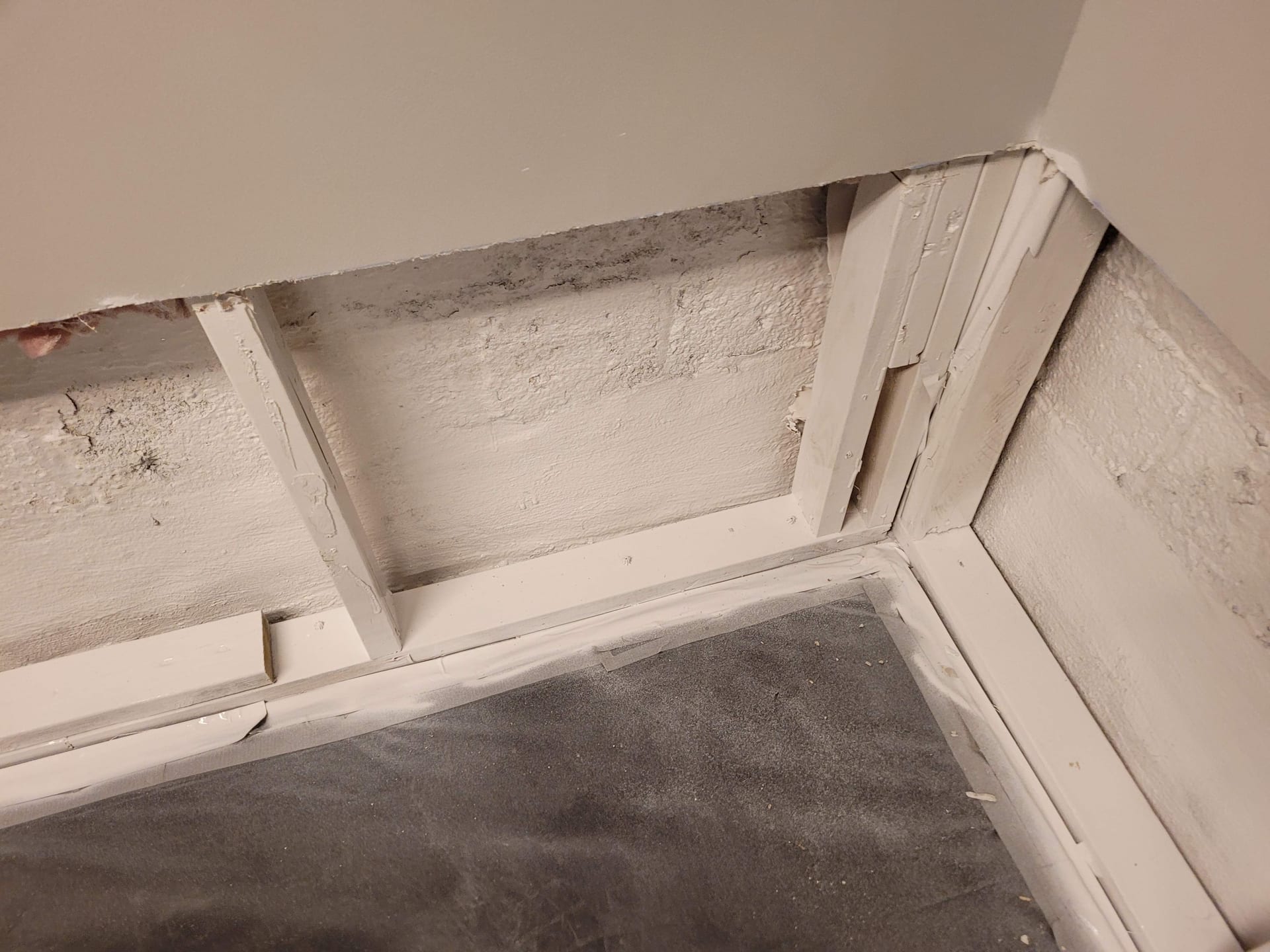 Framing Antimicrobial Seal — Exposed wall framing scrubbed, disinfected, and sealed with mold-inhibiting coating.